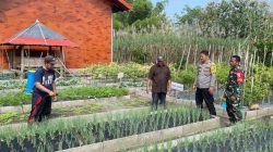 Tiga Pilar Desa Pojok Kompak Dukung Program P2B