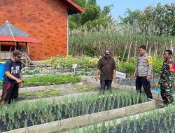 Tiga Pilar Desa Pojok Kompak Dukung Program P2B