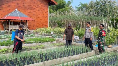 Tiga Pilar Desa Pojok Kompak Dukung Program P2B
