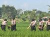 INOVASI PELATIHAN SISWA POLWAN 2025: Dari Pengabdian Desa hingga SPPG POLRI