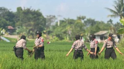 INOVASI PELATIHAN SISWA POLWAN 2025: Dari Pengabdian Desa hingga SPPG POLRI