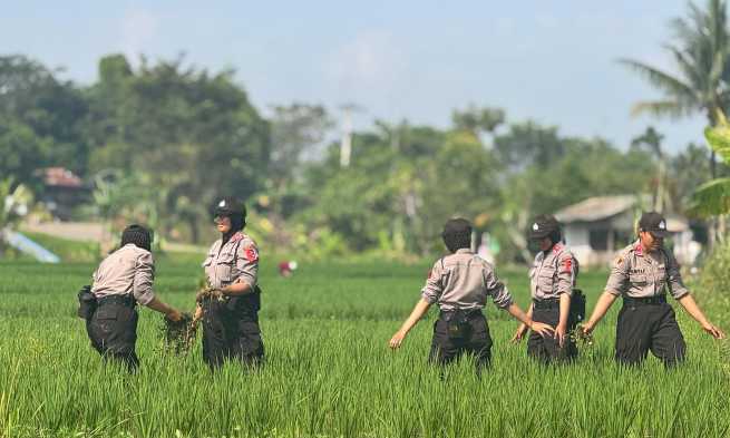 Img 20250517 wa0042 copy 1310x786