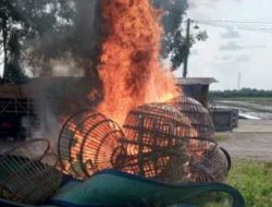 Polisi Bongkar Arena Judi Sabung Ayam di TPS Ngaglik Sidoarjo