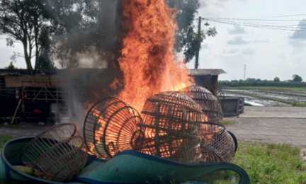 Img 20250520 wa0039 copy 864x519