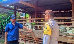 Img 20250522 wa0030 copy 514x308