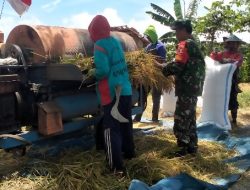 Sukseskan Program Sergap, Babinsa Koramil Sine Bersama Bulog Laksanakan Sergap di Hargosari