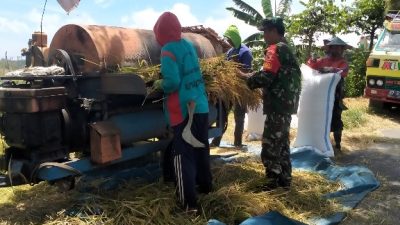 Sukseskan Program Sergap, Babinsa Koramil Sine Bersama Bulog Laksanakan Sergap di Hargosari