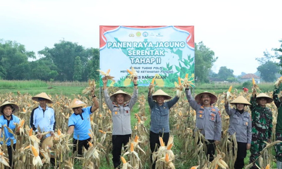 Img 20250524 wa0020 copy 959x576