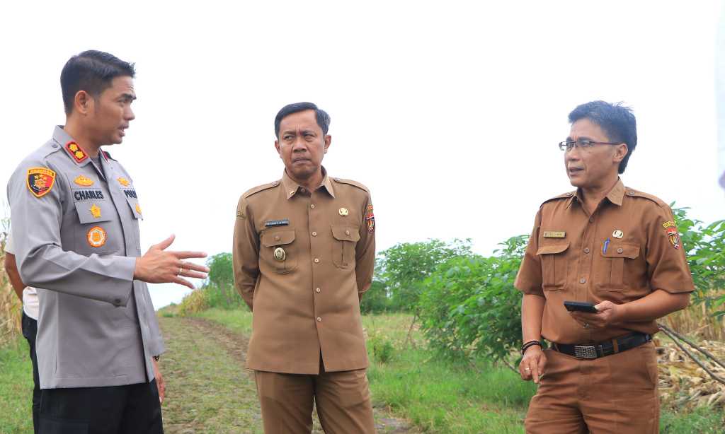 Img 20250527 wa0004 copy 2048x1228