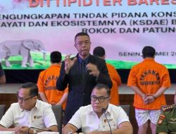 Dittipidter Bareskrim Polri Ungkap Perdagangan Ilegal Gading Gajah di Sukabumi dan Jakarta