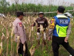 Dukung Ketahanan Pangan, Polisi Kediri Dialogis dengan Petani