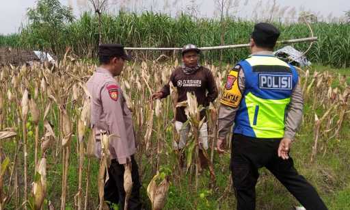 Img 20250527 wa0068 copy 1024x614