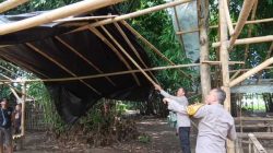 Tegas Berantas Perjudian Polisi Bongkar Lima Arena Sabung Ayam di Jember
