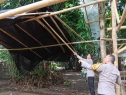 Tegas Berantas Perjudian Polisi Bongkar Lima Arena Sabung Ayam di Jember