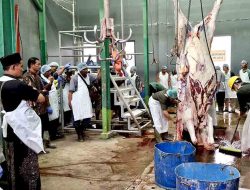 Pemkab tuban gelar pelatihan juru sembelih hewan kurban untuk jamin kehalalan dan kesehatan daging 3