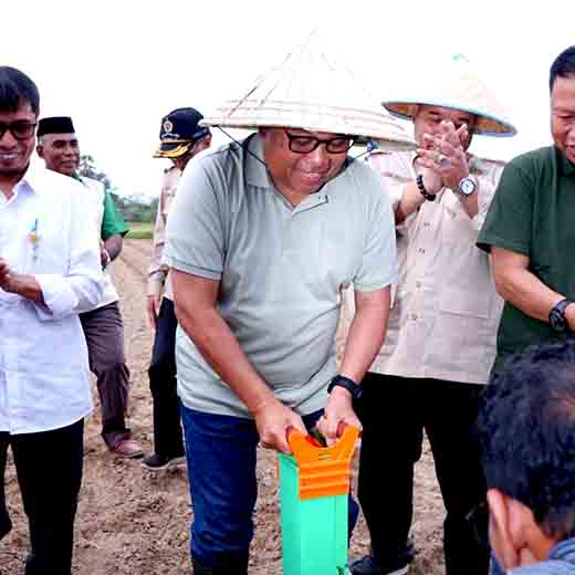 Perkuat ketahanan pangan, bupati takalar bekerjasama edufarmers internasional dan pemuda tani indonesia lakukan penanaman perdana jagung 3