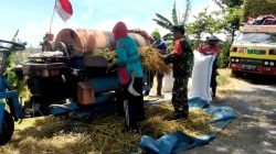 Sukseskan program sergap, babinsa koramil sine bersama bulog