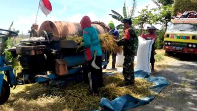 Sukseskan program sergap, babinsa koramil sine bersama bulog