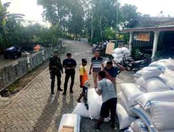 Sukseskan Sergap di Dusun Wates, Babinsa Kedunggalar dan Bulog Pastikan Gabah Petani Terbeli dengan Harga Tinggi