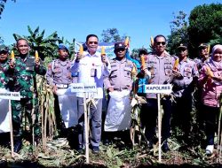 Wabup Takalar Lakukan Panen Raya Jagung bersama Forkopimda Takalar