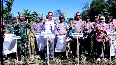 Wabup takalar lakukan panen raya jagung