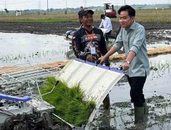 Wapres Gibran Tanam Padi dan Dialog dengan Petani Ngawi: Dorong Ketahanan Pangan