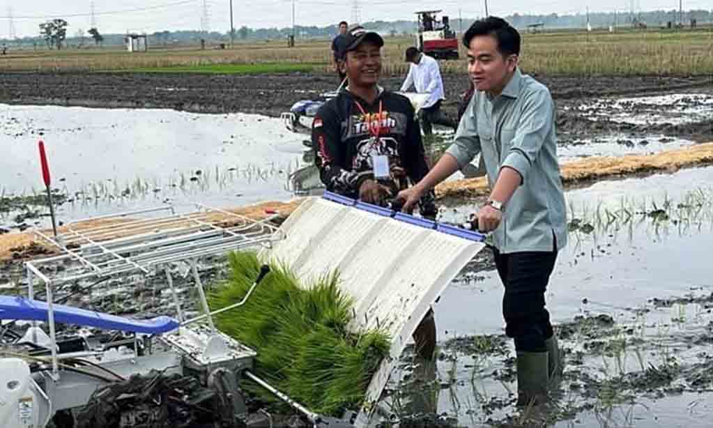 Wapres gibran tanam padi dan dialog dengan petani ngawi dorong ketahanan pangan