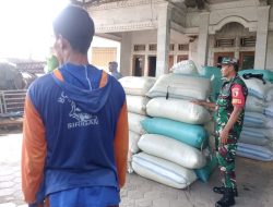 Babinsa Koramil Ngrambe dan Bulog Sergap Gabah Petani di Desa Tawangrejo, Angkut 7.5 Ton Gabah Petani