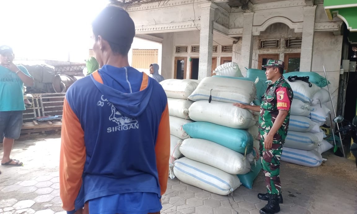 Babinsa koramil ngrambe dan bulog sergap gabah petani di desa tawangrejo, angkut 7.5 ton gabah petani 2