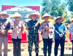 Bontobila Marbo, Menjadi Titik Panen Raya Jagung Serentak Wilayah Sulsel