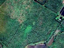 Diduga Dikuasai Oknum dan Tak Pernah Terima Ganti Rugi, Keluarga Penggarap Lahan Eks-HGU Tuntut Klarifikasi ke PTPN