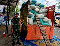 Dukung Program Swasembada Pangan, Serka Suradi Terjun Langsung Kawal Sergap Hasil Panen Warganya