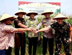 Pemkab Sidoarjo Salurkan 300 Ton Benih Jagung untuk Dukung Swasembada Pangan