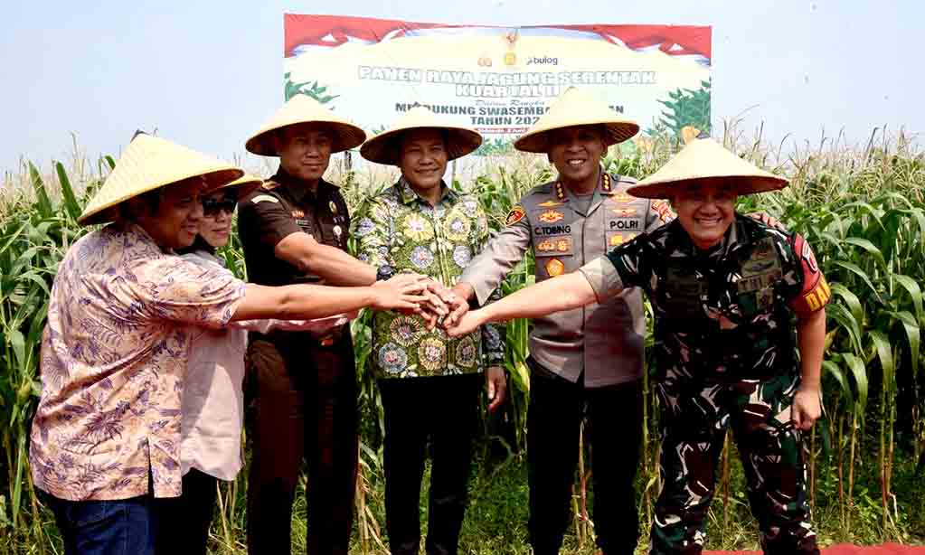 Dukung swasembada pangan nasional 2025, pemkab sidoarjo bantu 300 ton benih jagung 2