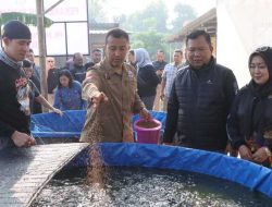 Dukung Ketahanan Pangan, Kapolres Kediri Kota Panen Lele