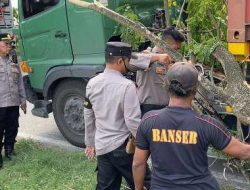 Polres Ngawi Sigap Evakuasi Pohon Tumbang di Jalan Sukarno Hatta