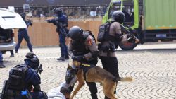 Hari Bhayangkara Ke-79 : Motor Layang, Pasukan Turangga, dan K9 Akan Meriahkan Hari Bhayangkara ke-79 di Monas