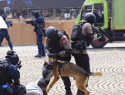 Hari Bhayangkara Ke-79 : Motor Layang, Pasukan Turangga, dan K9 Akan Meriahkan Hari Bhayangkara ke-79 di Monas