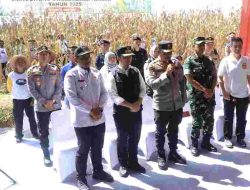 Dukung Swasembada Pangan, Kapolda Bersama Forkopimda Jatim Panen Raya Jagung Kuartal II di Ngawi