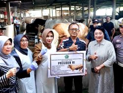 Sidoarjo Terima Bantuan Sapi Kurban 1,08 Ton dari Presiden Prabowo Subianto, Pemkab Perketat Pengawasan Kesehatan Hewan