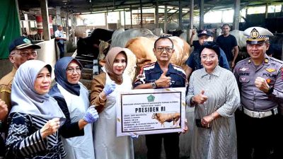 Sidoarjo Terima Bantuan Sapi Kurban 1,08 Ton dari Presiden Prabowo Subianto, Pemkab Perketat Pengawasan Kesehatan Hewan