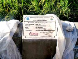 Kerja nyata pemdes kedungwaras wujudkan pembangunan desa 2