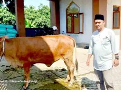 Komunitas Media Pemalang Berbagi Berkah Idul Adha di Ponpes Komariyah