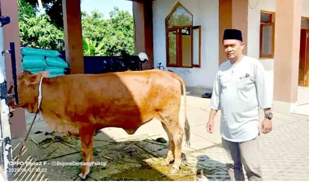 Komunitas media pemalang berbagi berkah idul adha di ponpes komariyah