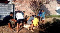 Mushola baiturrohmah desa kebaron gelar qurban dengan semangat dan kebersamaan