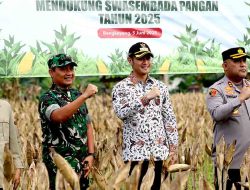 Panen Raya Jagung di Tuban, Pemkab Dukung Swasembada Pangan