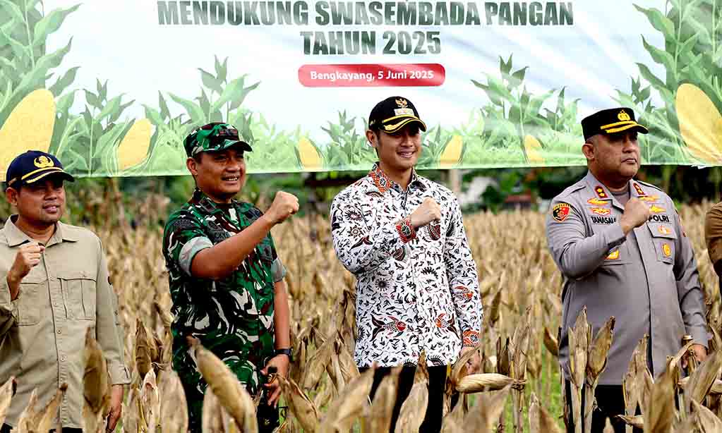 Panen raya jagung di tuban, pemkab dukung swasembada pangan