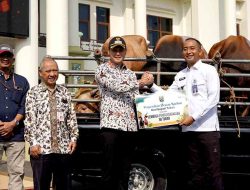 Pemkab Tuban Distribusikan 42 Hewan Kurban untuk Warga di Hari Raya Iduladha 2025