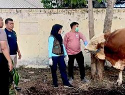 Polres Madiun Kota Datangkan Dokter Hewan Pastikan Kesehatan Hewan Kurban