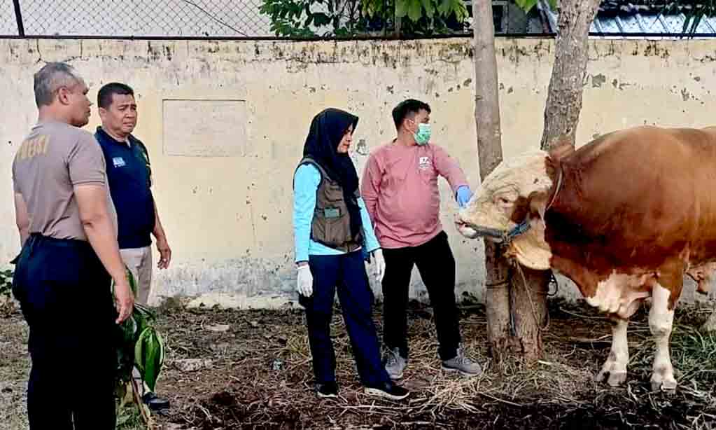 Polres madiun kota datangkan dokter hewan pastikan kesehatan hewan kurban